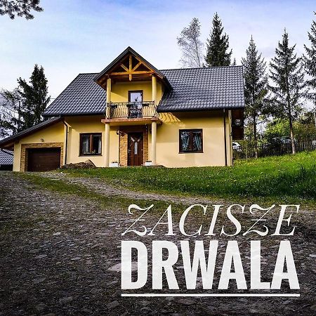 Zacisze Drwala Casa de hóspedes Lutowiska Exterior foto