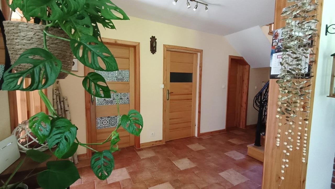 Zacisze Drwala Casa de hóspedes Lutowiska Exterior foto