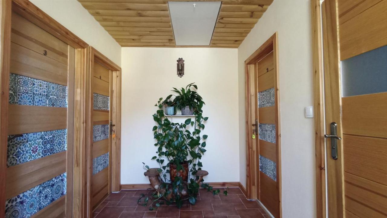 Zacisze Drwala Casa de hóspedes Lutowiska Exterior foto
